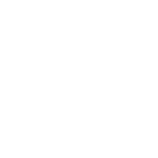 IT Consulting